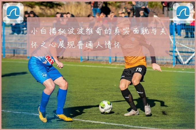 小白揭秘波波维奇的真实面貌与关怀之心展现普通人情怀